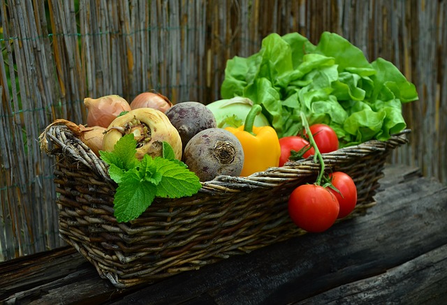 So ernähren Eltern ihre Kinder ausgewogen